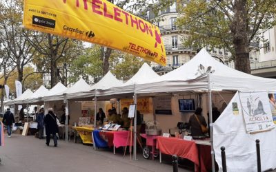 Brocante professionnelle de novembre 2022